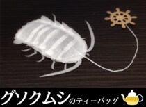 グソクムシのティーバッグがリアルすぎてヤバイ！ お茶の中で脚がウニョウニョ動く仕様になってて虫っぽさ倍増!!