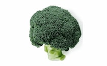 ブロッコリーが約50年ぶりの快挙！ブロッコリーの栄養とおいしさを再発見。マンネリ解消レシピも紹介🥦