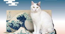 こりゃ絵になる…フェリシモから葛飾北斎『富嶽三十六景』デザインの猫さま用爪とぎが爆誕！