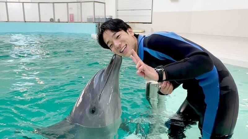 大人もワーキャー止まらない!大阪旅行で絶対行きたい、ガチ恋の距離でイルカと触れ合える「ノアドルフィンドーム」体験レポ!