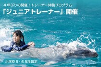 将来の夢はイルカのトレーナー🐬鴨川シーワールドが小学5・6年生対象に職業体験プログラムを開催