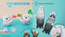鳥羽水族館 ラッコのメイちゃん＆キラちゃんがグッズに🦦ラッコについて知識を深める書籍もあわせて紹介します♡