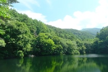 「都会の便利さ」と「田舎の静けさ」、両方ほしい！ 500人に聞いた2拠点生活への本音と、体に優しい住まいへのこだわり