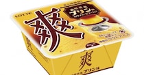 ロッテの「爽」から「純喫茶風プリン味」が登場！  流行中の固めプリンをイメージしてるんだって