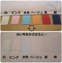 「下着の色は白」の校則に待った！ ランジェリーショップが “透ける下着の色” の検証画像を公開 → 全乙女が参考になる結果に