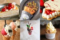 画像をもっと見る