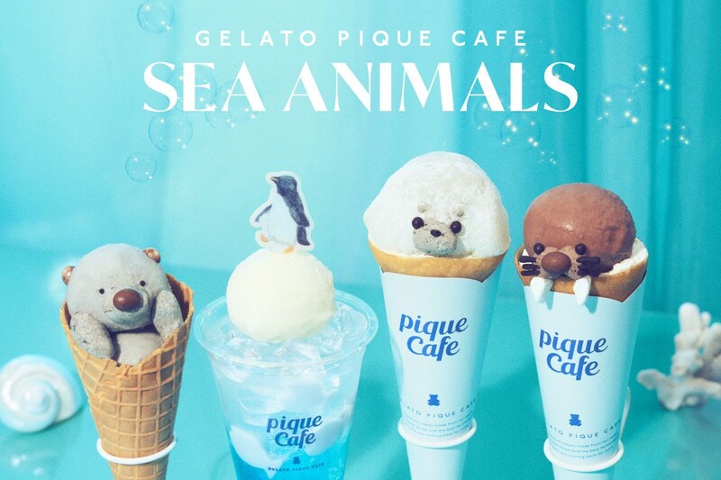 あざらし・ラッコ・せいうち🦦可愛すぎて食べるのがもったいないけど絶対おいしい組み合わせ…！ジェラピケカフェ期間限定フェア「SEA ANIMALS」