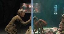 孤独な2人をつないだのは3つの心臓と9つの脳をもつタコ？Netflix映画『親愛なる八本脚の友だち』🐙【#カウチポテトのお供】
