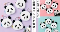 画像をもっと見る