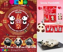 頑張っているアナタへ捧ぐ「パンダ情報」3選🐼史上初のパンダ型ダースからシャンシャンの写真展まで
