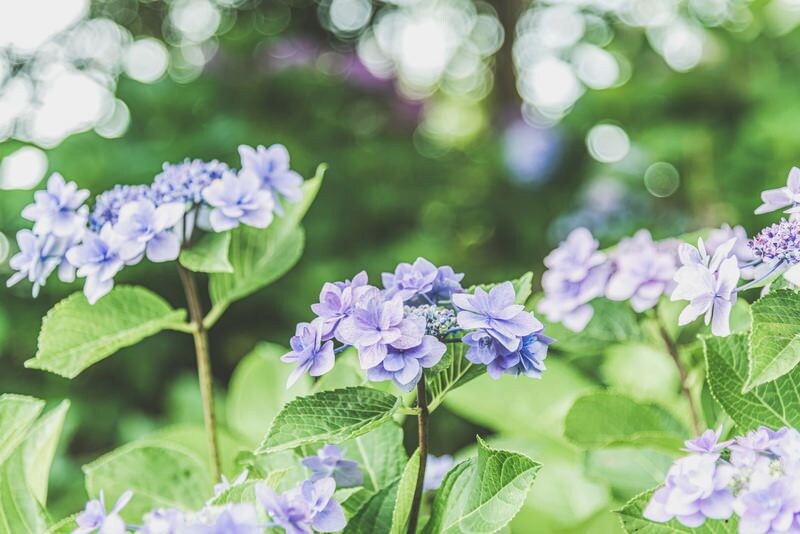 なんだか調子悪いな…っていうの「梅雨ダル」のせいかも!ストレッチや夏野菜、日光を味方につけて梅雨を快適に乗り切る対策をしよう!