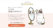 「その不調、体質が原因かも？」クラシエ漢方セラピーの体質診断「からだかがみ」をやってみた！