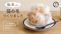 猫が大好きな皆さん！おいしすぎる猫の毛を食べてもっと猫好きを極めましょ〜！（ご安心ください猫の毛そっくりな食べられるアレです）