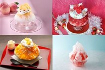 画像をもっと見る