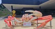 画像をもっと見る