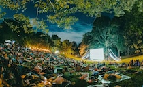 オールナイト野外映画フェス「街の呼吸と森の映画祭2026」開催🎞️🍿『恋する惑星』に『秒速5センチメートル』などラインナップが激アツです