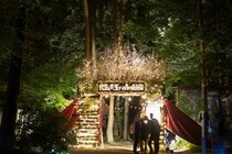 秋の夜長は森の中で映画を観よう！ 日本初の野外映画フェス「夜空と交差する森の映画祭」が今年も開催です