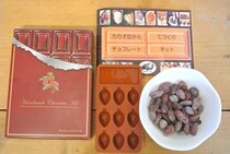 カカオ豆からチョコを手作りするキットが地獄の難易度だった / 4時間の苦労が一瞬で水の泡に…！