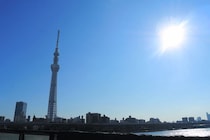 歌舞伎にリア王、キングダムまで選りすぐりの公演を半額で体験できる「夏の都民半額観劇会」開催！応募方法がアナログでなんだかワクワクするよ🌱