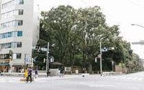 10月1日は都民の日🗼入場料無料で楽しめる施設まとめ / 歌舞伎やミュージカルを観劇をお得に楽しめるチャンスもあるよ