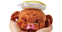カイカムリをデスクに連れて行ったりおうちでニホンアナグマを愛でたり…やっぱり気になるフェリシモの新作3選🦀