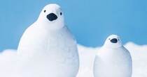 激レアな「ライチョウクッション」がかわいすぎる！ 本物と同じサイズのもっちり感がたまらないよ〜