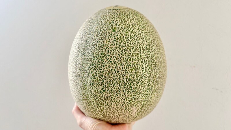 約12時間で完売する幻の絶品メロンを入手🍈 糖度17度超えの電解水素水ではぐくまれた「草津メロン」が幸せの極みでした…♡