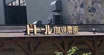 【知ってた？】都内に3つしかないドトールのレア店舗「ドトール珈琲農園」が衝撃の豪華さ！ コーヒーはもちろん「カレー」や「グラタン」も美味しいよ