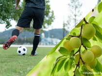 地方に移住して農業をしながらサッカー。スポーツで地域貢献するアスリートの新しい生き方