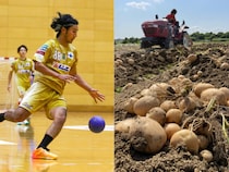 早朝から農作業、夜は練習。スポーツと農業の両立を目指す福岡のハンドボールチームの挑戦