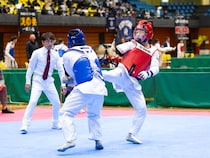 全日本テコンドー選手権でパイオニアの伊藤が優勝！ アジアパラ注目競技の現状は