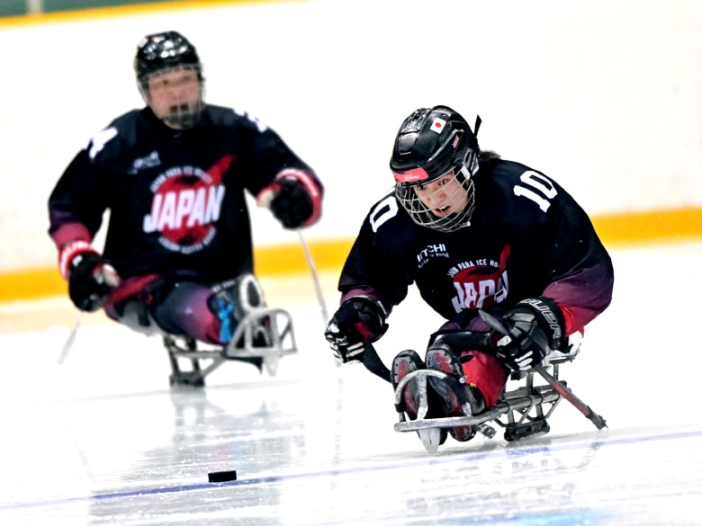 【ミラノ・コルティナパラ展望】若手とベテランが融合！パラアイスホッケー日本代表