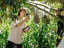 サッカー元日本代表・坂井達弥さんがドリアン栽培？タイで歩む異色のセカンドキャリア