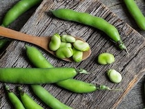 そら豆が美容の味方って本当？健康管理上級指導員の視点から解説します
