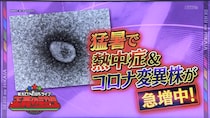 猛暑のせいでコロナ爆増？　“関西レジェンド気象予報士”正木明と“元・厚労省医師“木村もりよの見解は…