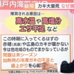 放送本番を迎えるまでの間に私がどんなふうに過ごしているか　福戸あや「news おかえり」アナウンサーリレーコラム
