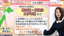 放送本番を迎えるまでの間に私がどんなふうに過ごしているか　福戸あや「news おかえり」アナウンサーリレーコラム