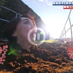 元KAT-TUN中丸雄一らを土に埋めた『相席食堂』新人女性ディレクター、宝塚元トップスターにロックオン　千鳥「馬糞に浸かっとる」