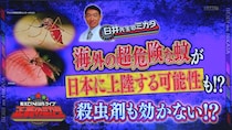 地球上で最も人間を殺す生物は「蚊」だった…激増する今秋を乗り切る対策とは