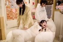 43歳主婦　衝撃！！原宿に加トちゃんの店はもうなかった・・・　今の原宿にあったのは体験型！？