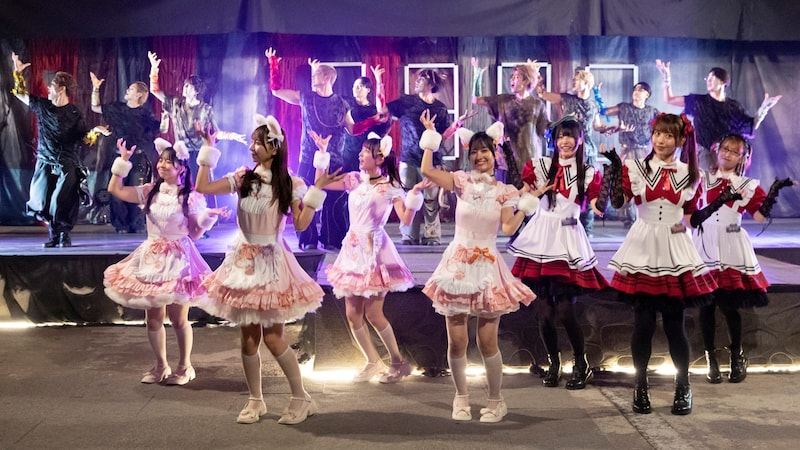 メイドカフェ２店が熾烈な客の奪い合い　王道か？ツンデレか？あなたはどっち？　普段のアイドル活動とは違うSWEET STEADY　ドラマ「DARK13 踊るゾンビ学校」