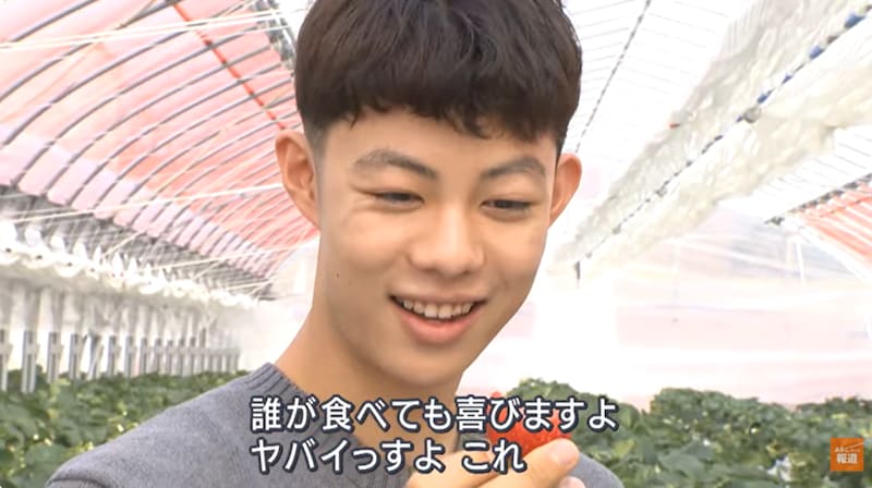 18歳の高校生が障害者とともにゼロから作り上げたイチゴ農園？　「何のために生きるのか？」イチゴ栽培は成功するのか？