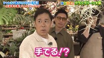 21万円植物で夫婦喧嘩の危機！？岡村隆史、愛妻に「パーンッてシバかれる！」「手ェ出る！」　最終的に購入したシャレオツ植物とは