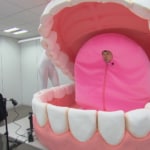 『探偵！ナイトスクープ』 「ち」をうまく発音できない11歳の少女。あのコンビニのチキンを自分で買いたい少女に、エース探偵が舌人間となって発音を解説するが…！？