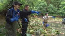 「探偵！ナイトスクープ」もう一度会いたい！２年前ため池に逃がしたウナギ大捜索！『ため池の水ぜんぶ抜く』
