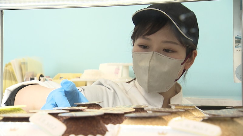 大阪・藤井寺でシュークリームに人生をかけた若き女性パティシエ　専門店を21歳で開業！あの有名百貨店からも依頼が！？