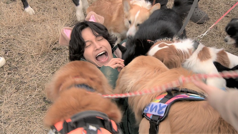 佐野晶哉 祝24歳! メンバーからお祝いサプライズ!? 本当に喜んでいるか徹底検証で明らかになったのは?