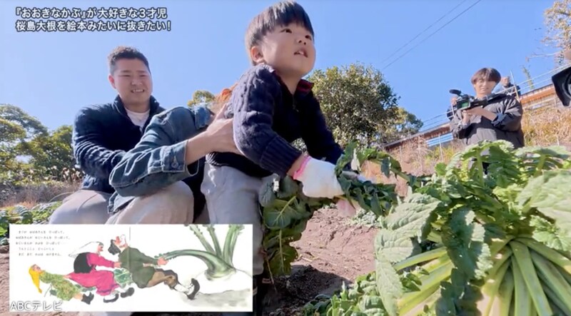 『探偵！ナイトスクープ』童話「おおきなかぶ」にドハマり！カブ愛に溢れる3歳児！ 絵本のように犬や猫、ネズミたちと一緒に抜くのを再現したい！？
