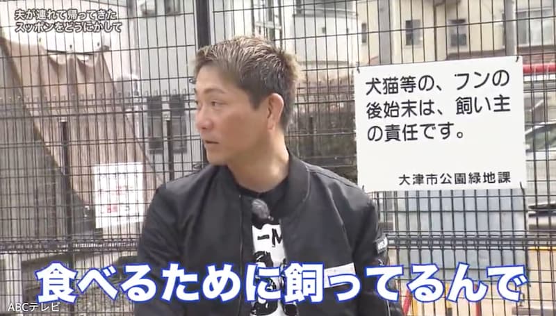 『探偵!ナイトスクープ』衝撃映像にスタジオから恐怖の悲鳴が…!「食べるために飼ってる」2匹のスッポンがスッポン鍋に!?