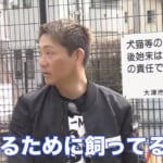 『探偵！ナイトスクープ』衝撃映像にスタジオから恐怖の悲鳴が…！「食べるために飼ってる」2匹のスッポンがスッポン鍋に！？